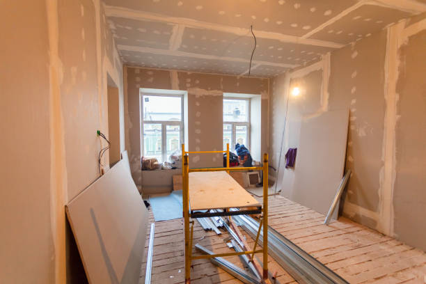 Best Fire-Damaged Drywall Repair  in Leadington, MO